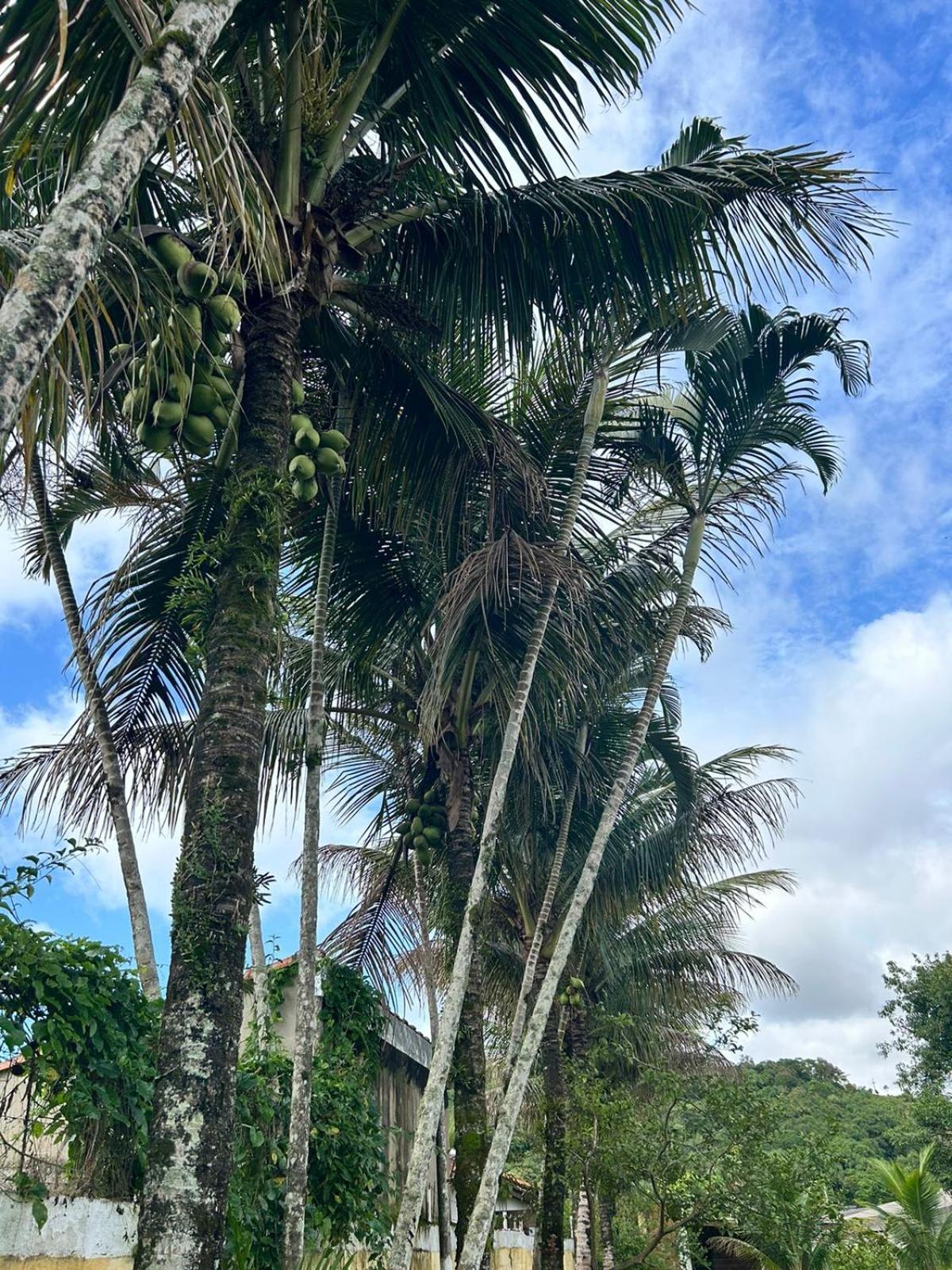 Pousada Geres Peruíbe Hotel Bagian luar foto