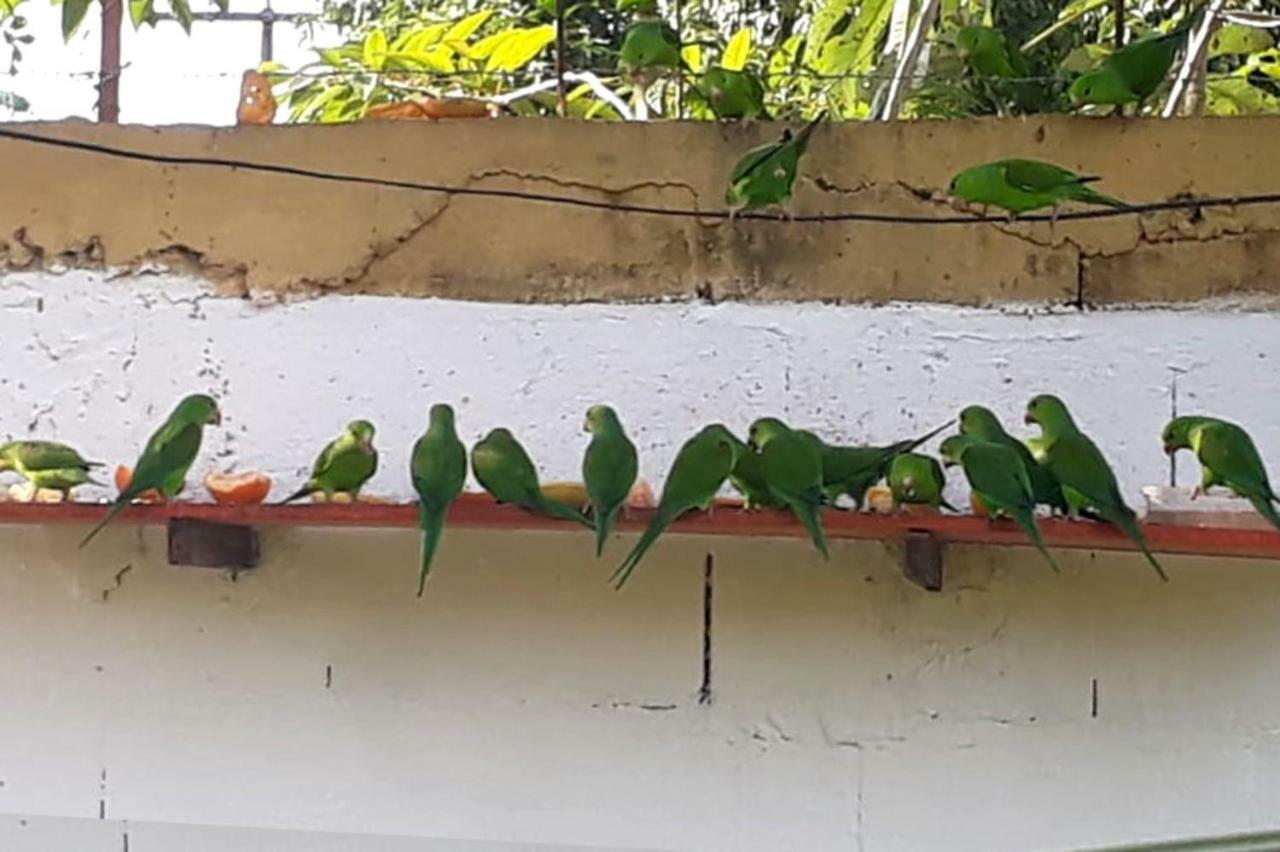 Pousada Geres Peruíbe Hotel Bagian luar foto